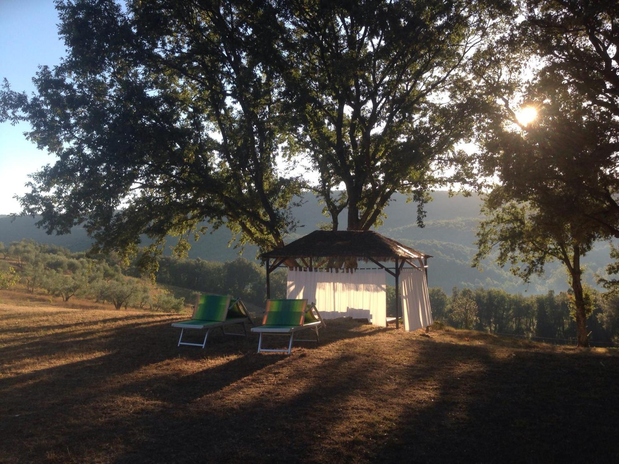 Agriturismo Colle Donatucci Hostal Castagneto Carducci Exterior foto
