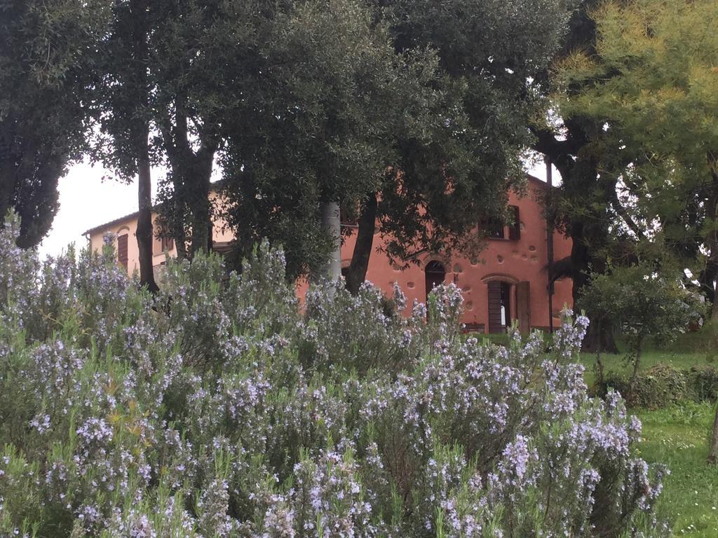 Agriturismo Colle Donatucci Hostal Castagneto Carducci Exterior foto
