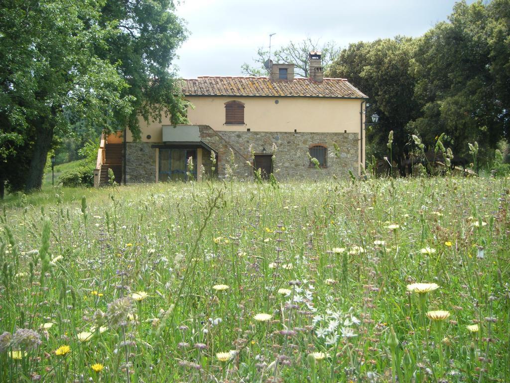 Agriturismo Colle Donatucci Hostal Castagneto Carducci Exterior foto